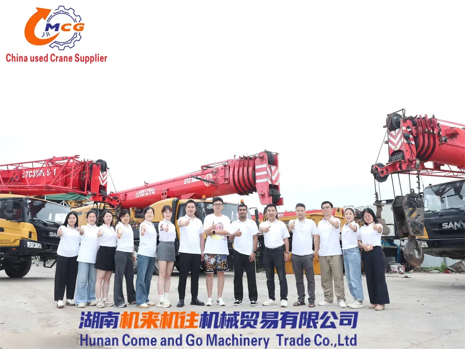 Reliable 95ton Zoom Lion Used Truck Crane for Sale, 2021 Model